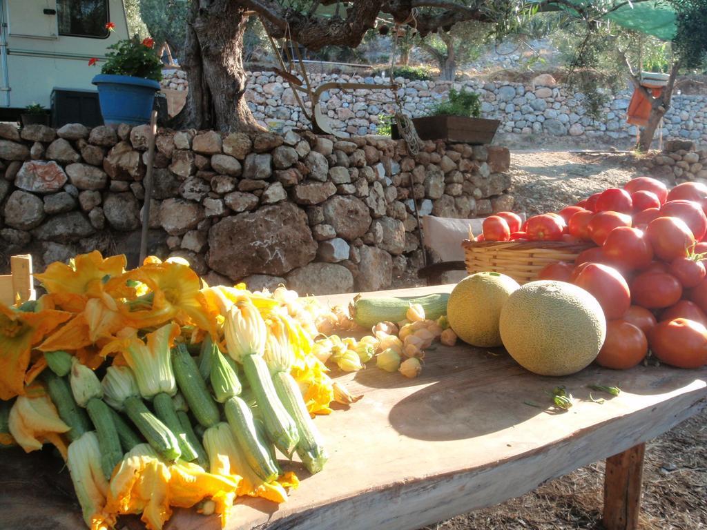 Elixirion Guest House Karavostásion المظهر الخارجي الصورة